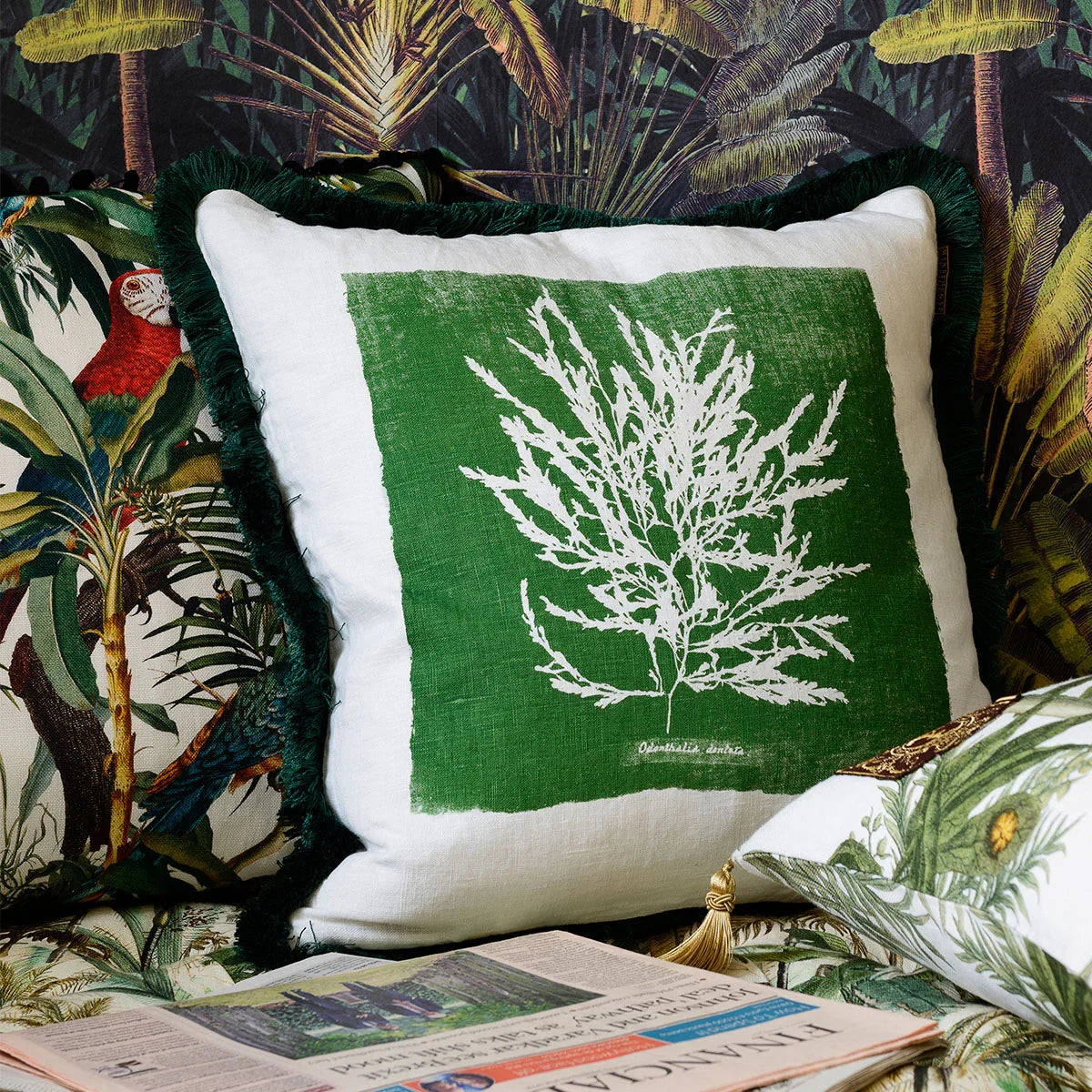 Algae Cushion - Mind The Gap