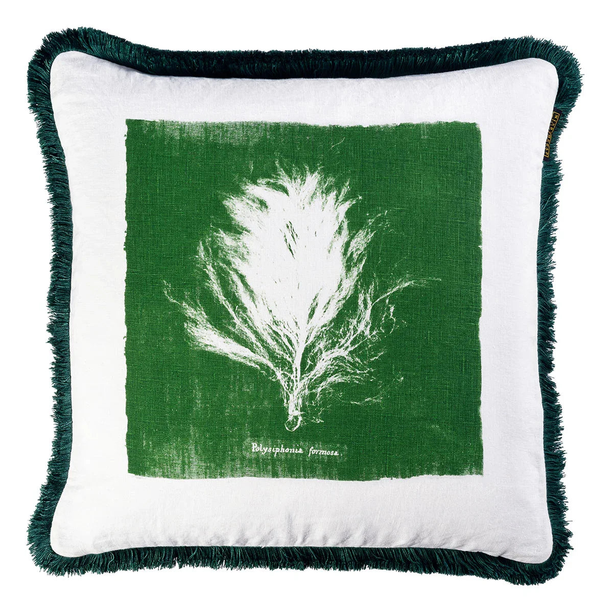 Algae Cushion - Mind The Gap