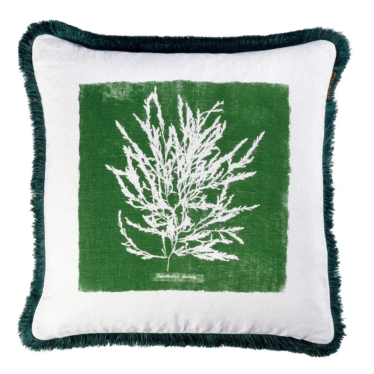 Algae Cushion - Mind The Gap