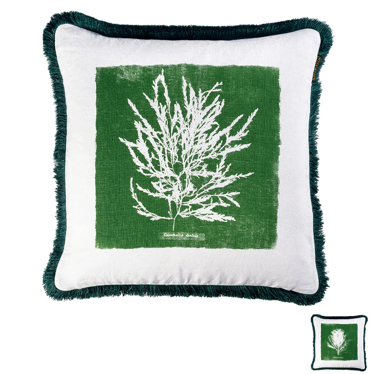 Algae Cushion - Mind The Gap