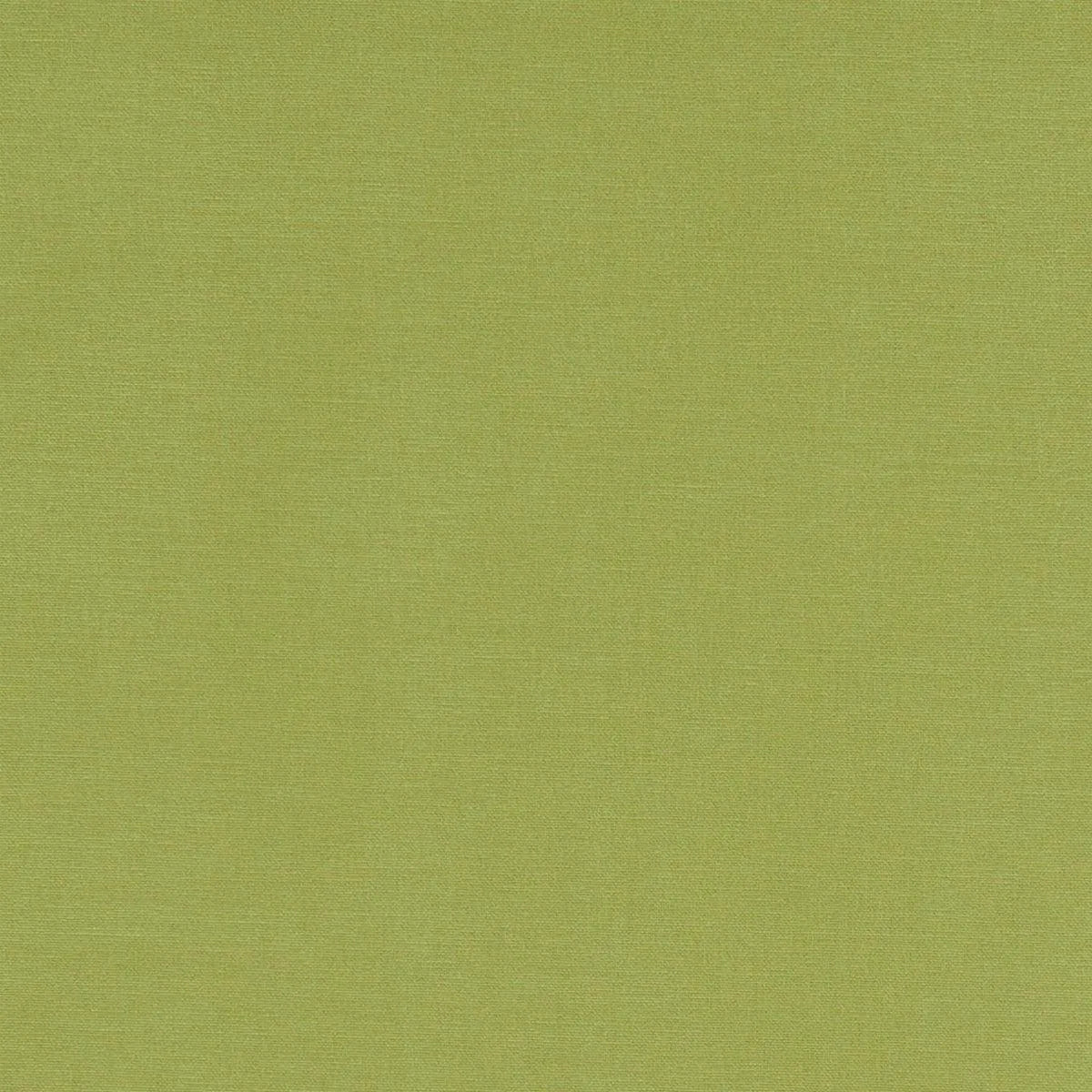 Alora Fabric - Clarke & Clarke