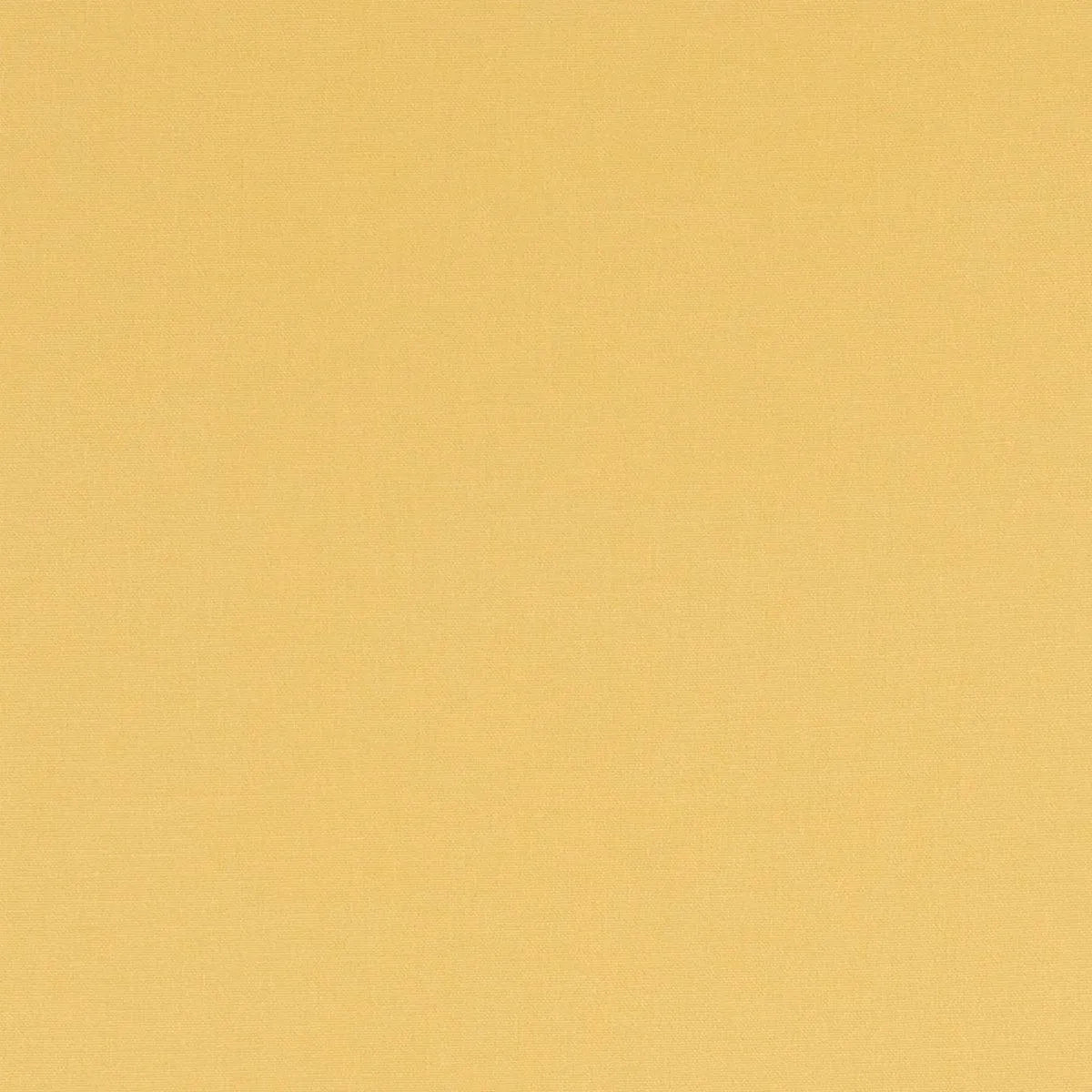Alora Fabric - Clarke & Clarke