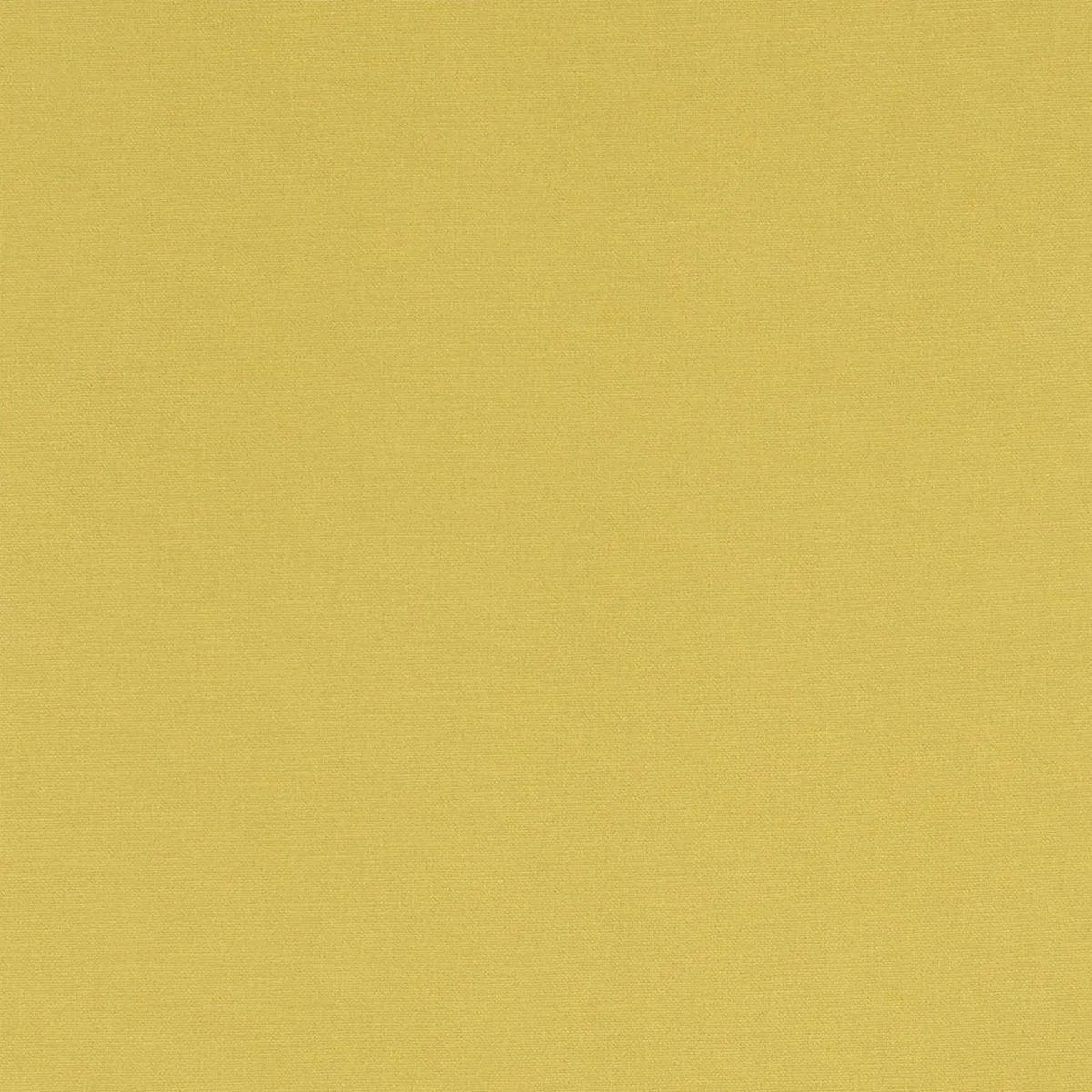 Alora Fabric - Clarke & Clarke
