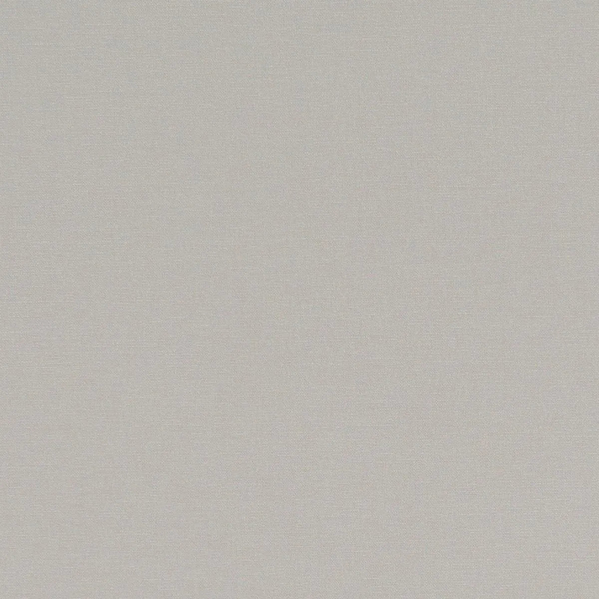 Alora Fabric - Clarke & Clarke
