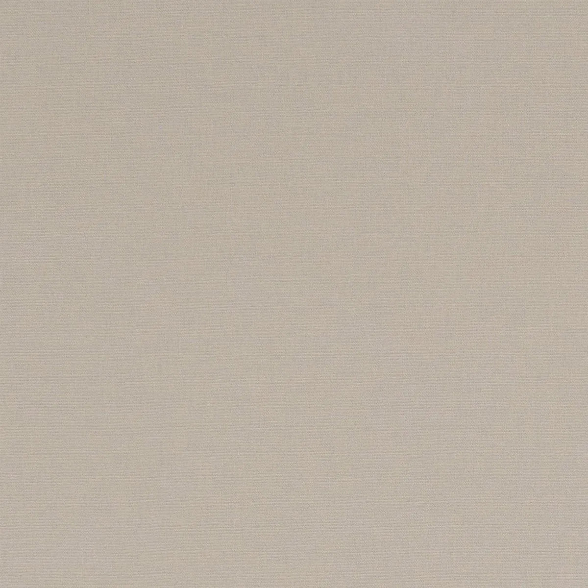 Alora Fabric - Clarke & Clarke