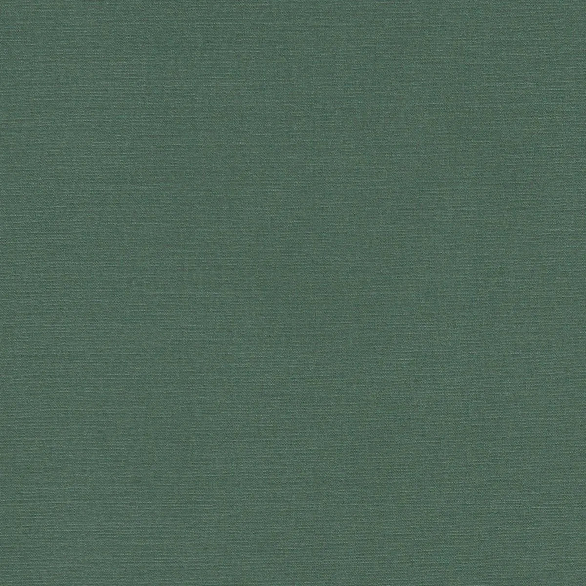 Alora Fabric - Clarke & Clarke