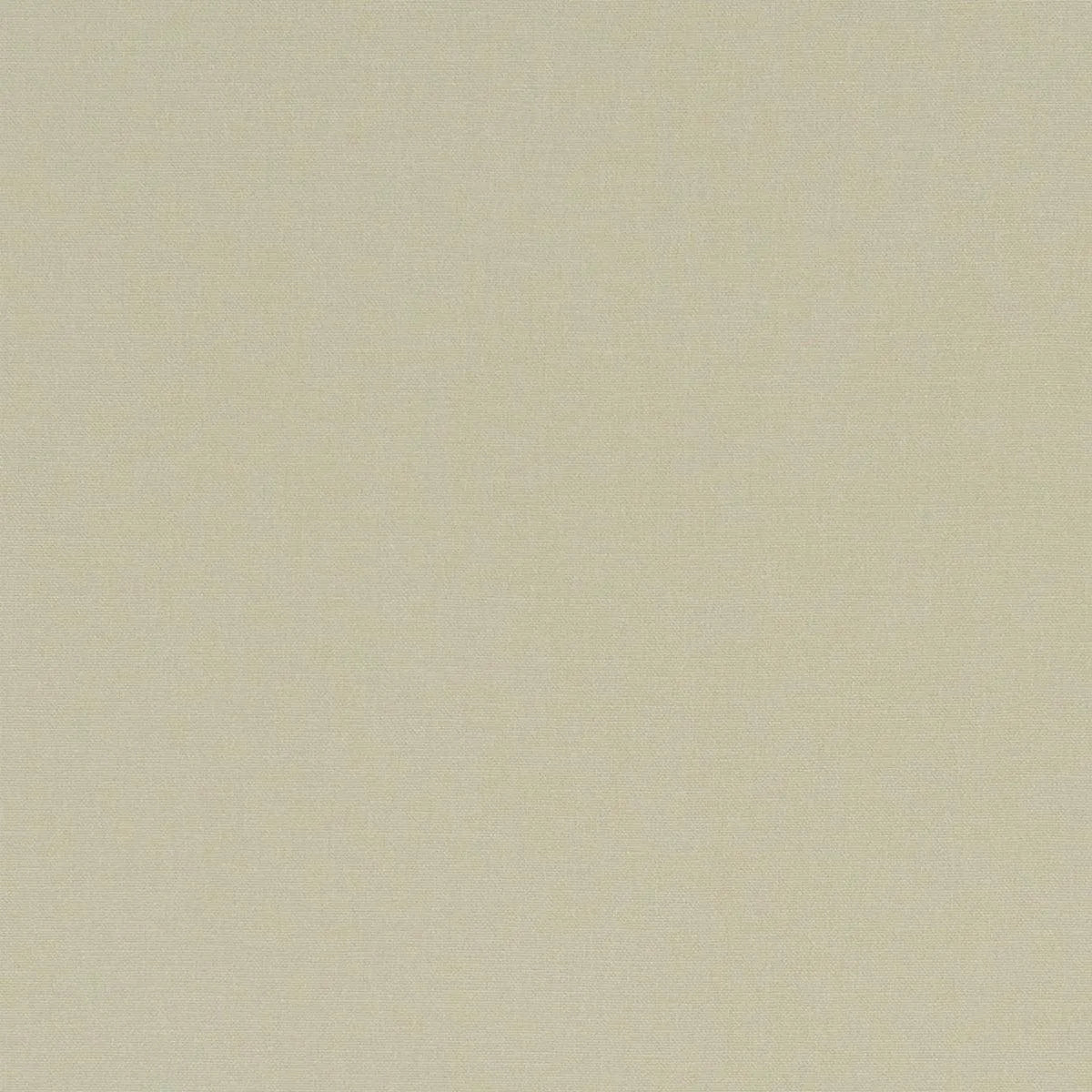 Alora Fabric - Clarke & Clarke