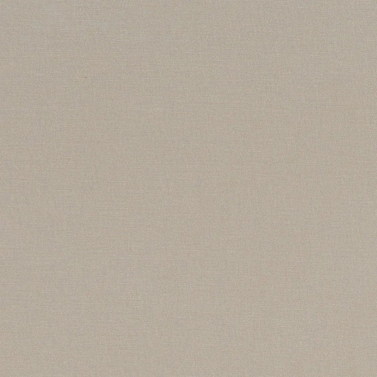 Alora Fabric - Clarke & Clarke