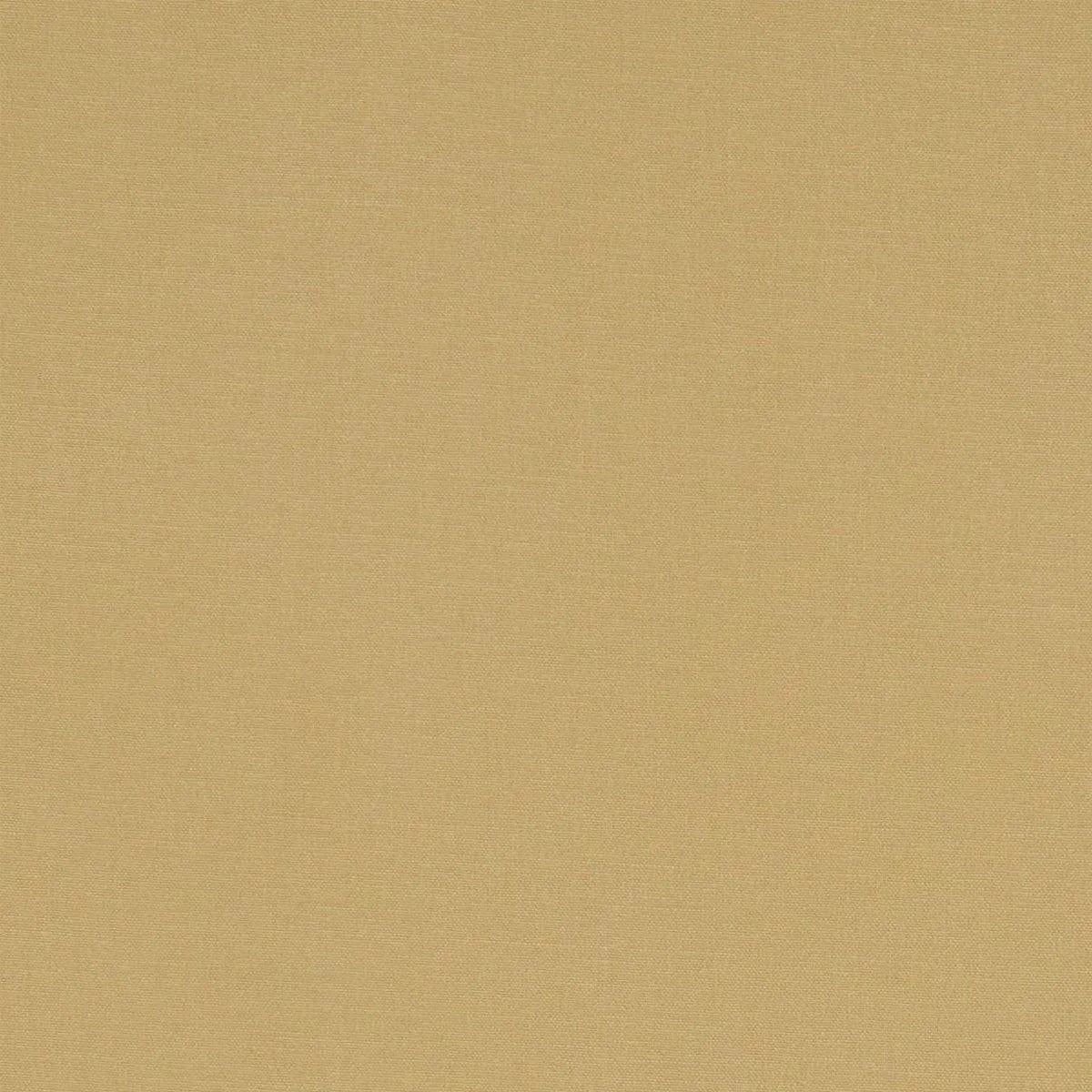 Alora Fabric - Clarke & Clarke
