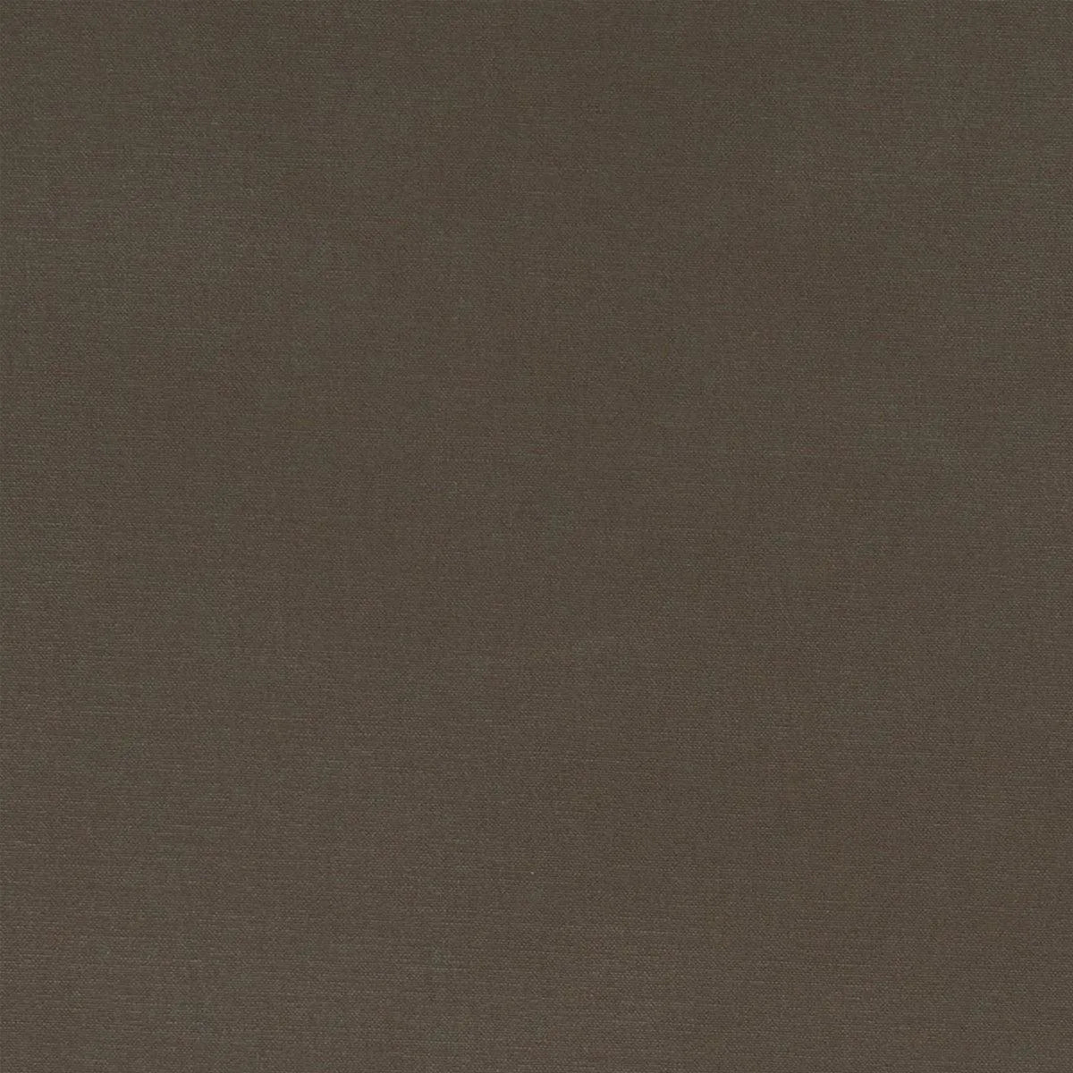 Alora Fabric - Clarke & Clarke