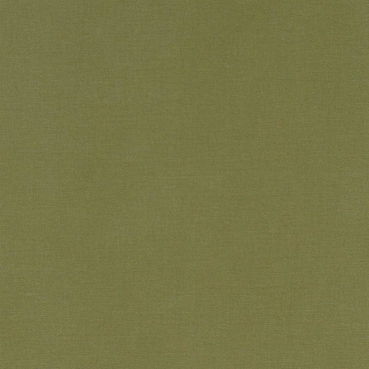 Alora Fabric - Clarke & Clarke