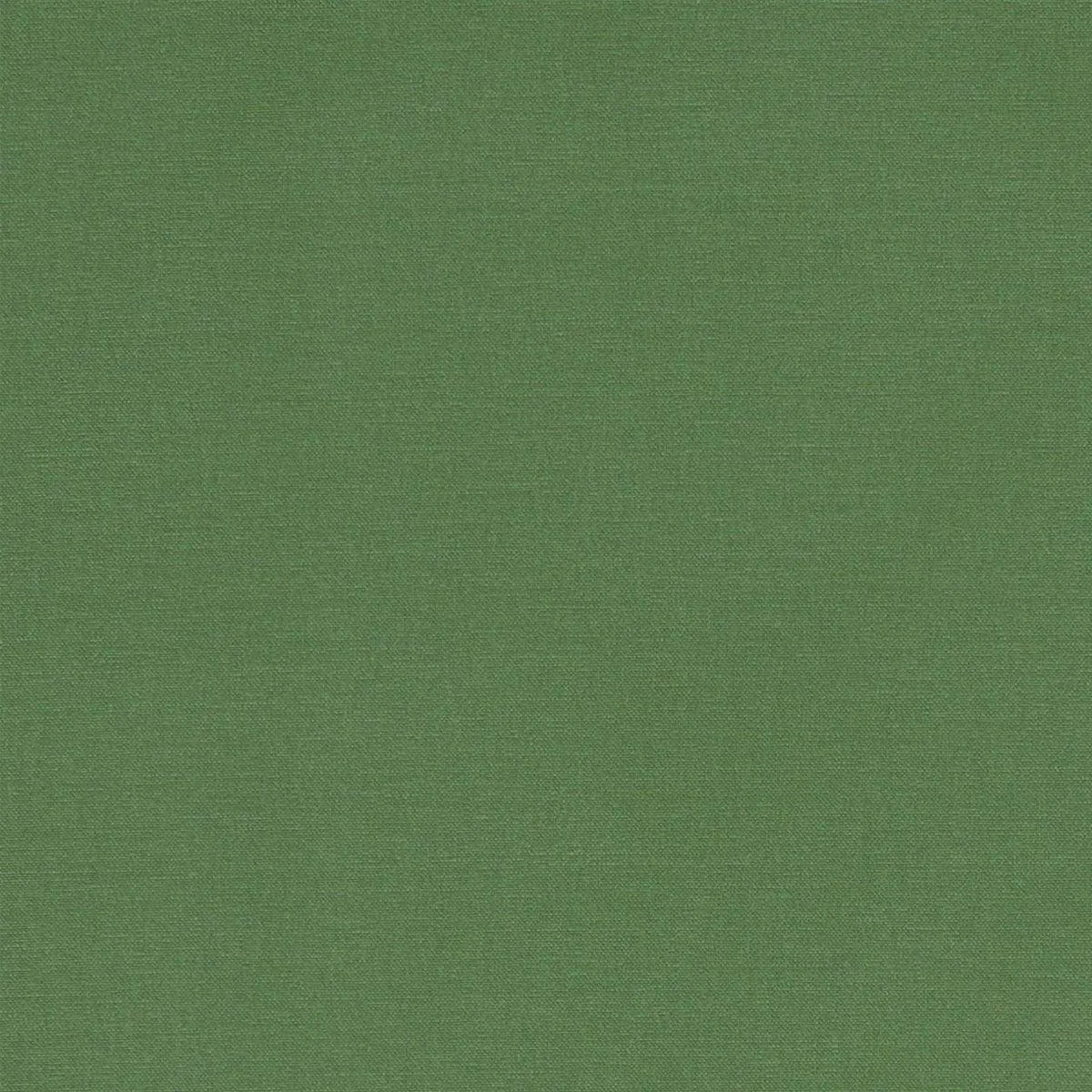 Alora Fabric - Clarke & Clarke