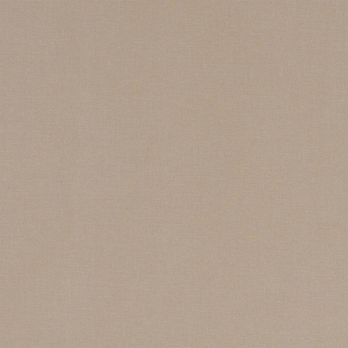 Alora Fabric - Clarke & Clarke