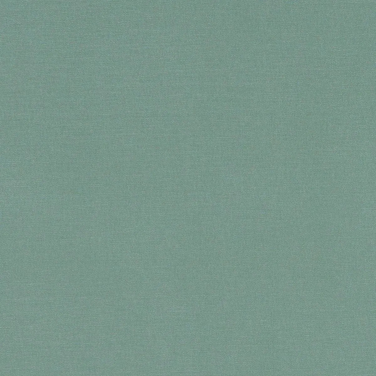 Alora Fabric - Clarke & Clarke