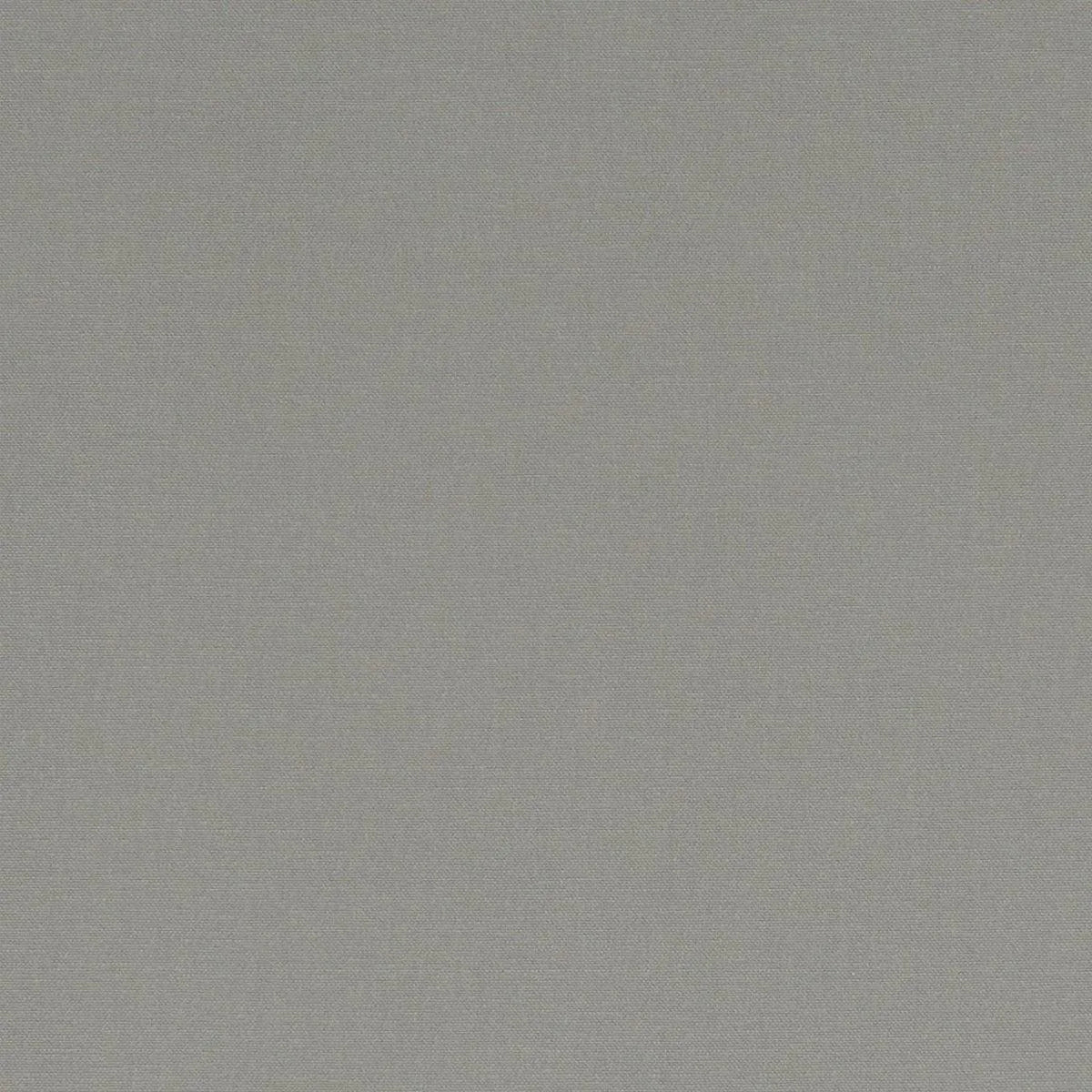 Alora Fabric - Clarke & Clarke