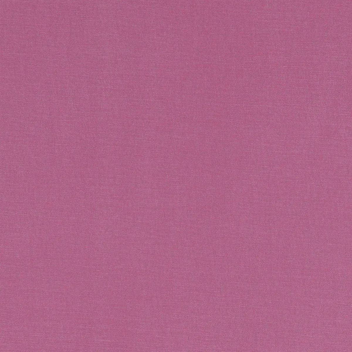 Alora Fabric - Clarke & Clarke
