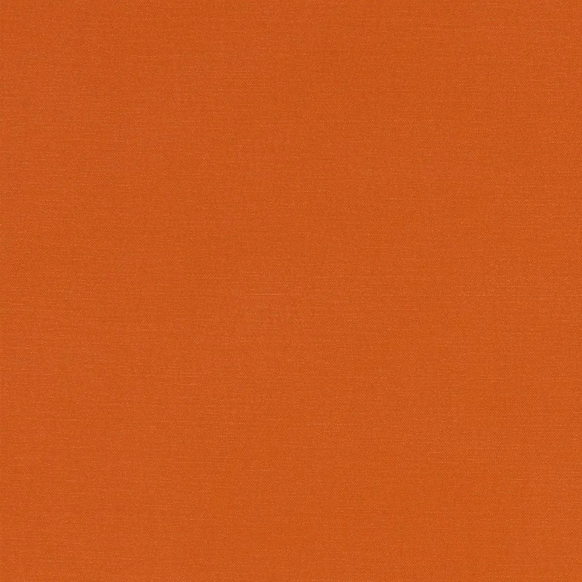 Alora Fabric - Clarke & Clarke