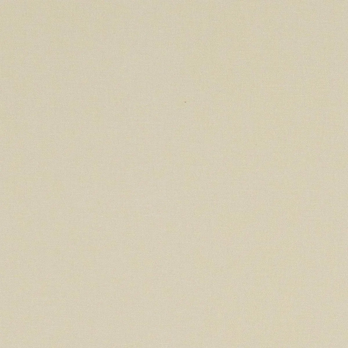 Alora Fabric - Clarke & Clarke