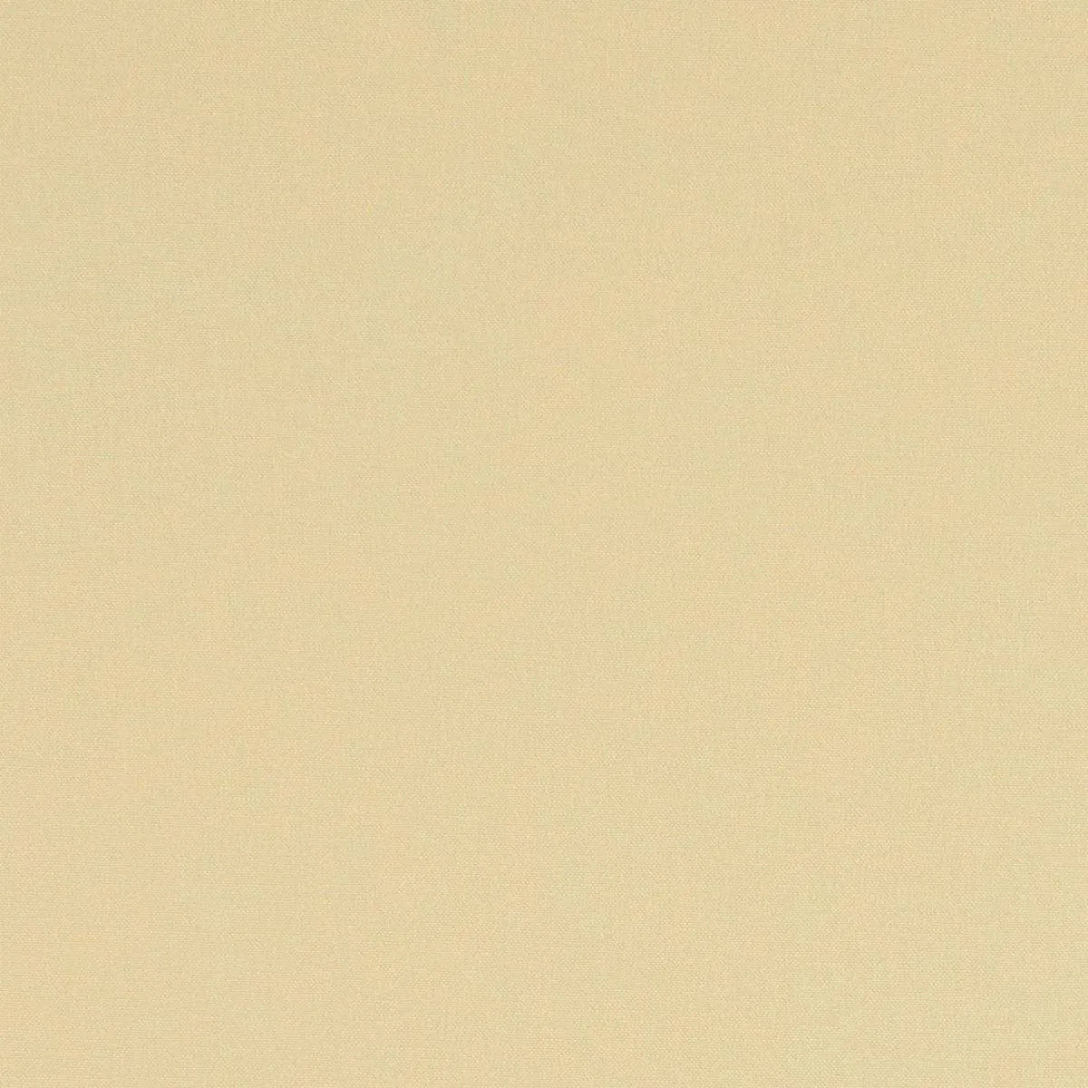 Alora Fabric - Clarke & Clarke