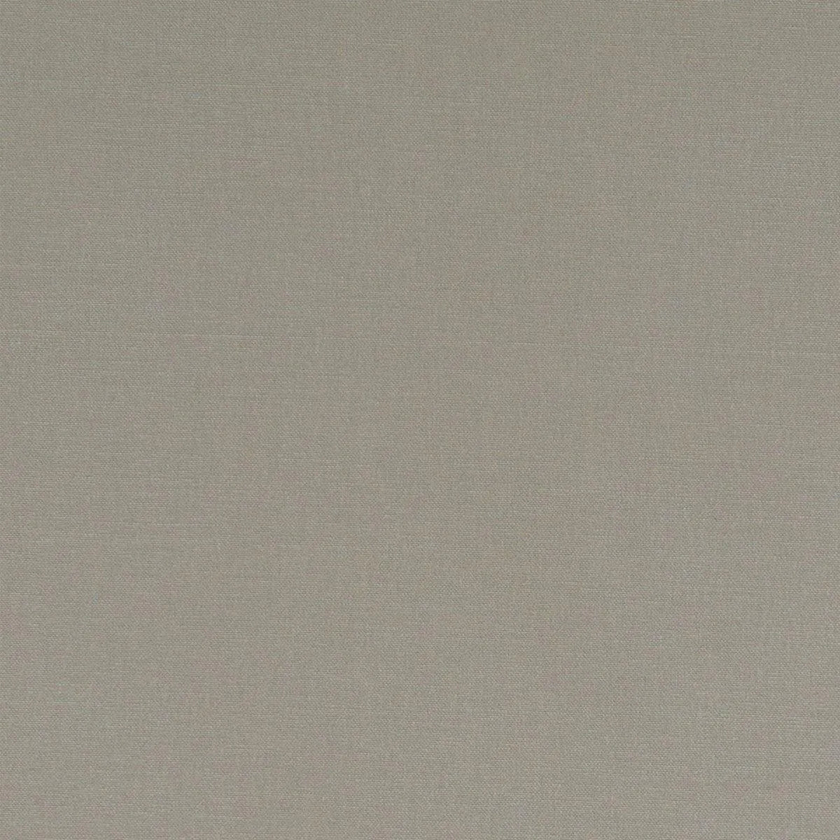 Alora Fabric - Clarke & Clarke
