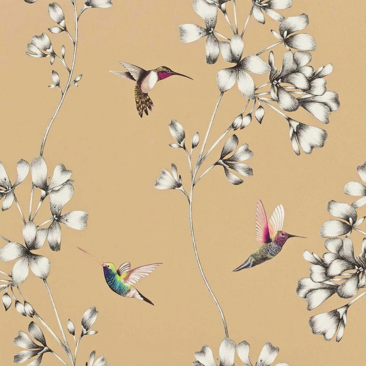 Amazilia Wallpaper - Harlequin