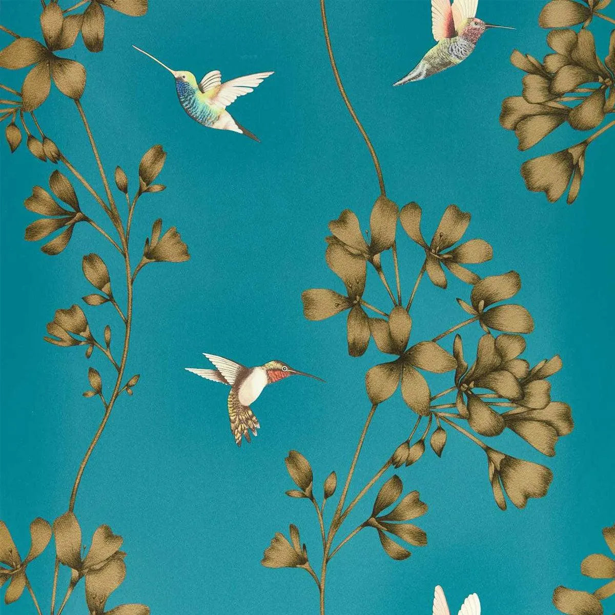Amazilia Wallpaper - Harlequin