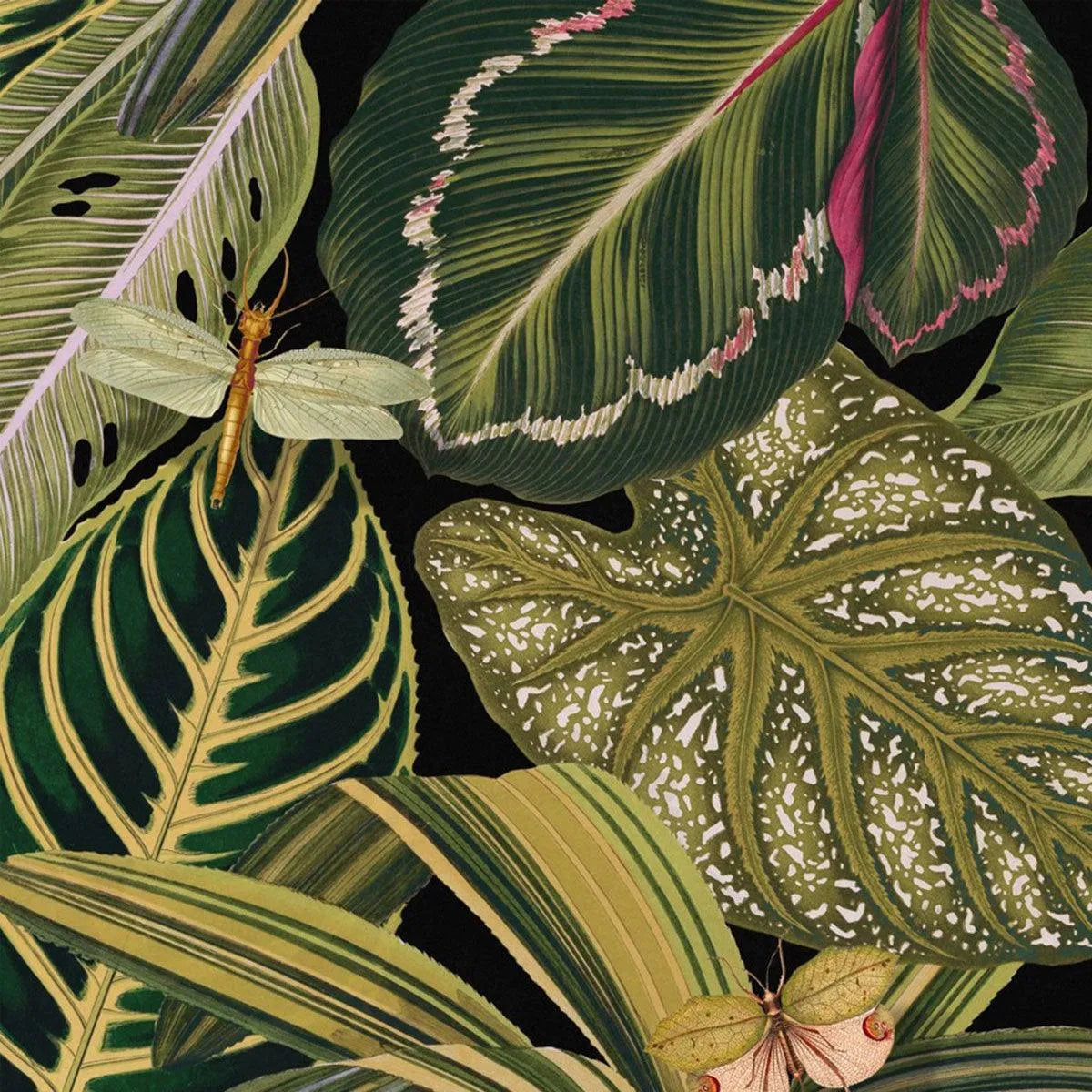 Amazonia Wallpaper - Mind The Gap