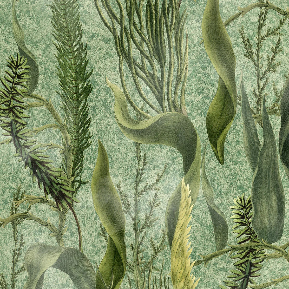 Aquatic Plants Wallpaper - Mind The Gap