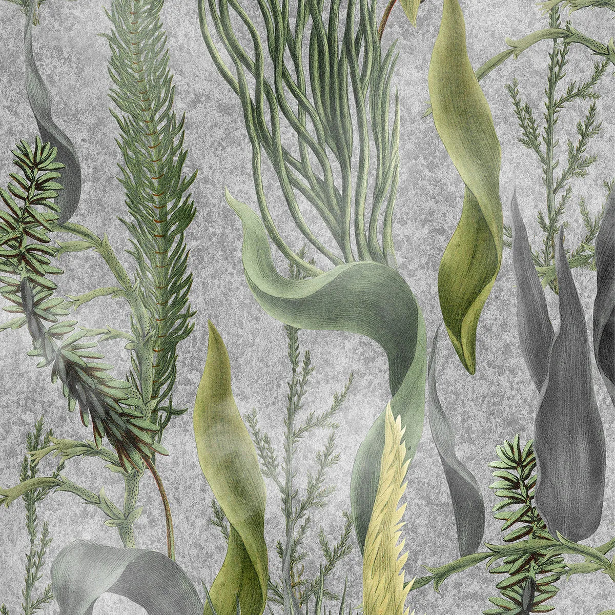 Aquatic Plants Wallpaper - Mind The Gap