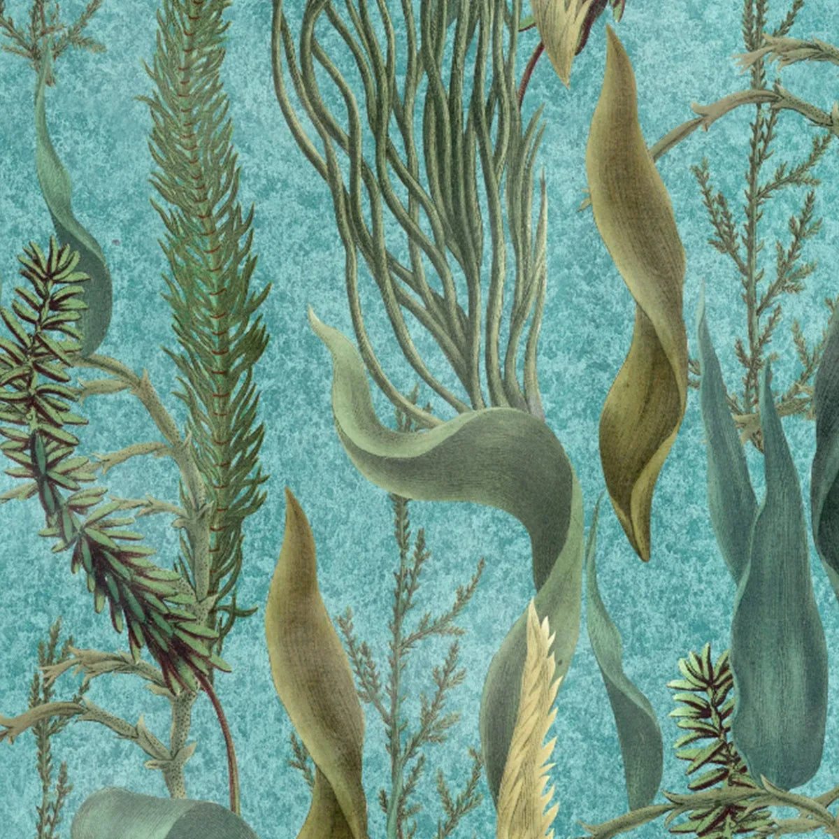 Aquatic Plants Wallpaper - Mind The Gap