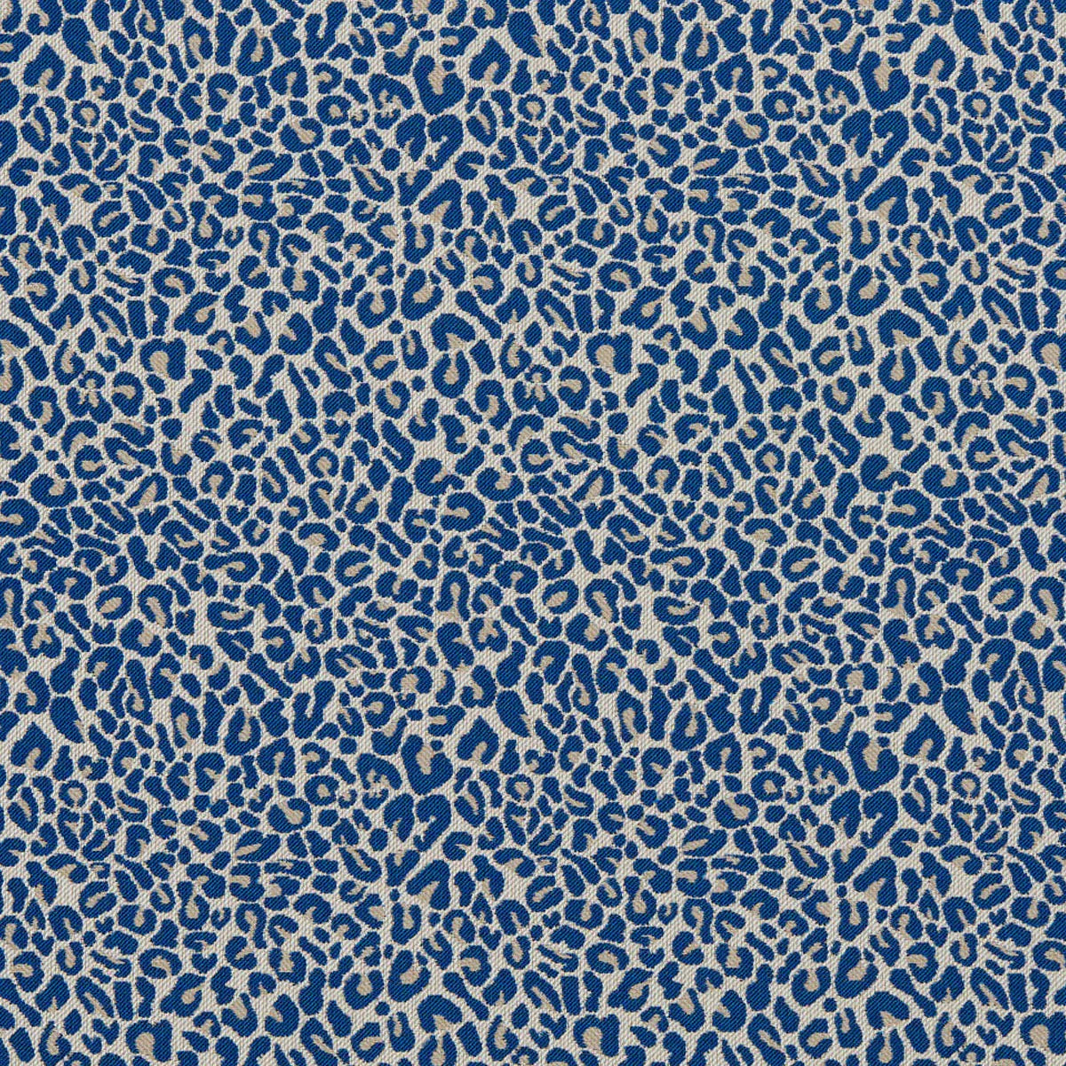 Arcata Fabric - Clarke & Clarke