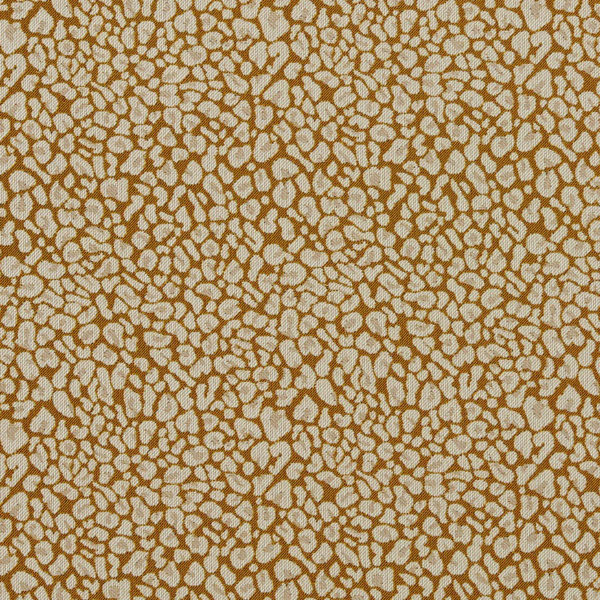 Arcata Fabric - Clarke & Clarke