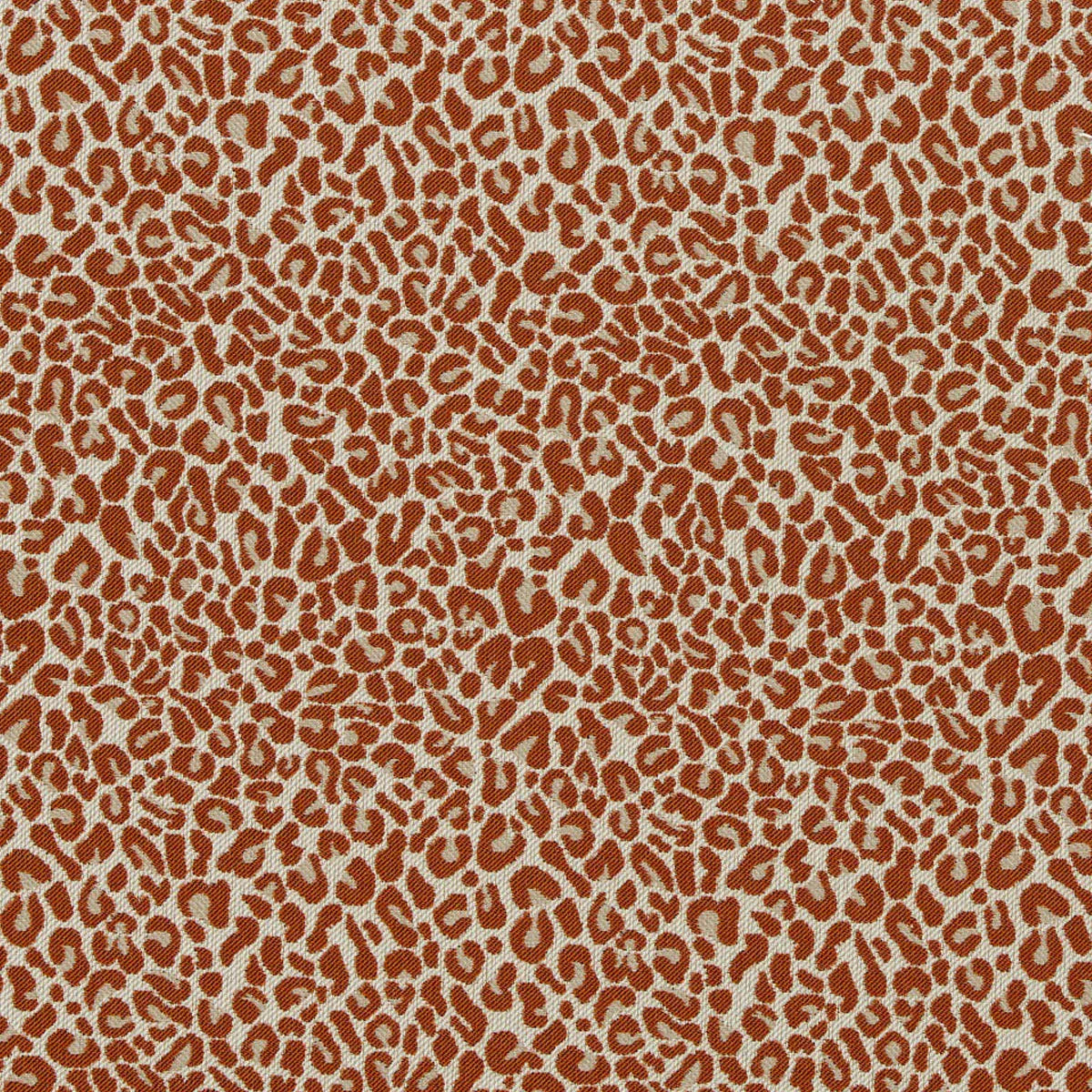 Arcata Fabric - Clarke & Clarke