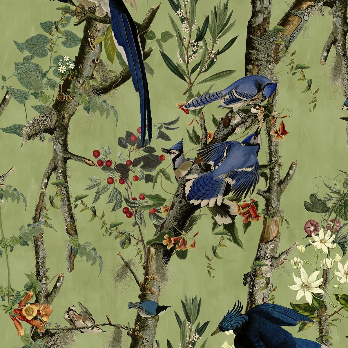 Birds of Danube Wallpaper - Mind The Gap