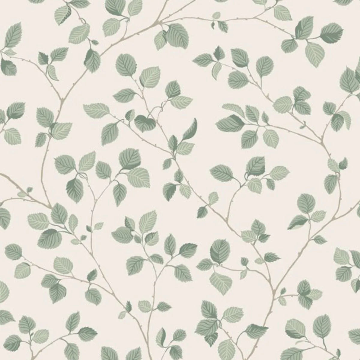 Bokskog Wallpaper - Sandberg