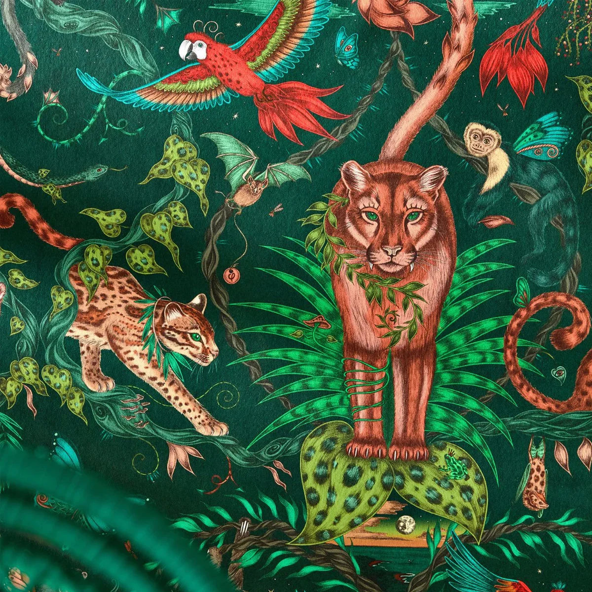 Bosque Wallpaper - Clarke & Clarke X Emma Shipley
