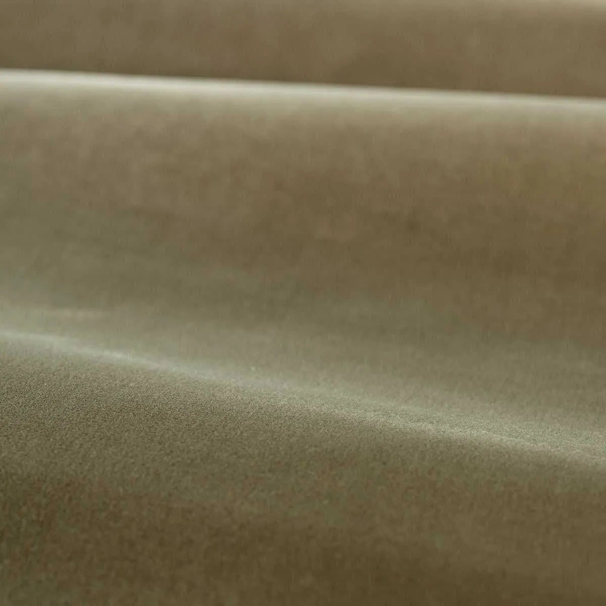 Cotton Velvet Performance Fabric - Zoffany