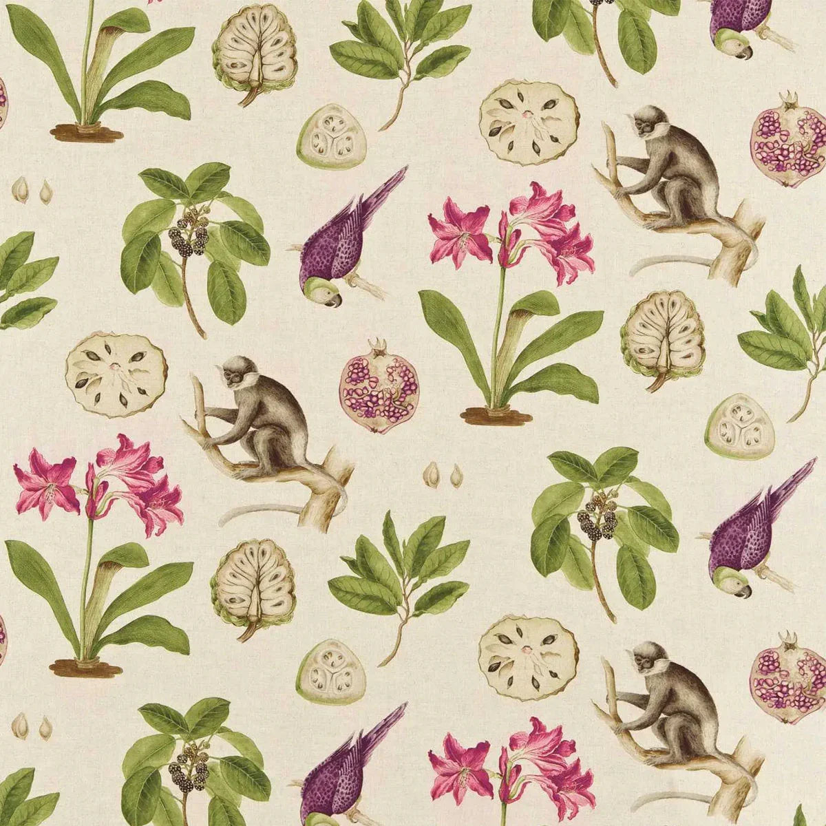 Capuchins Fabric - Sanderson