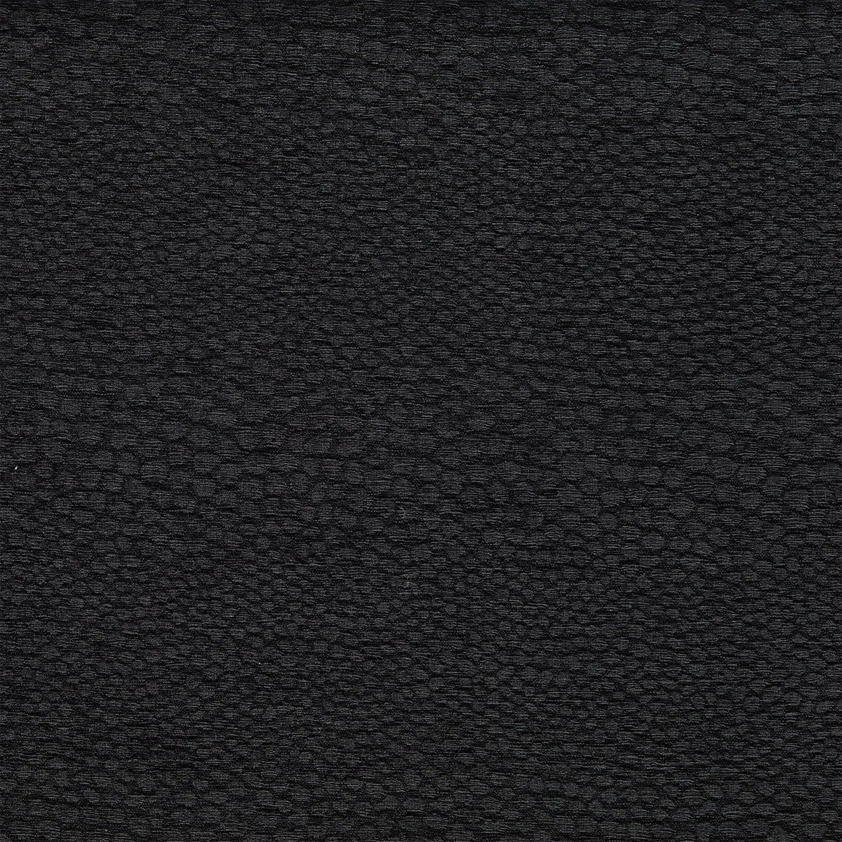 Castus Fabric - Clarke & Clarke