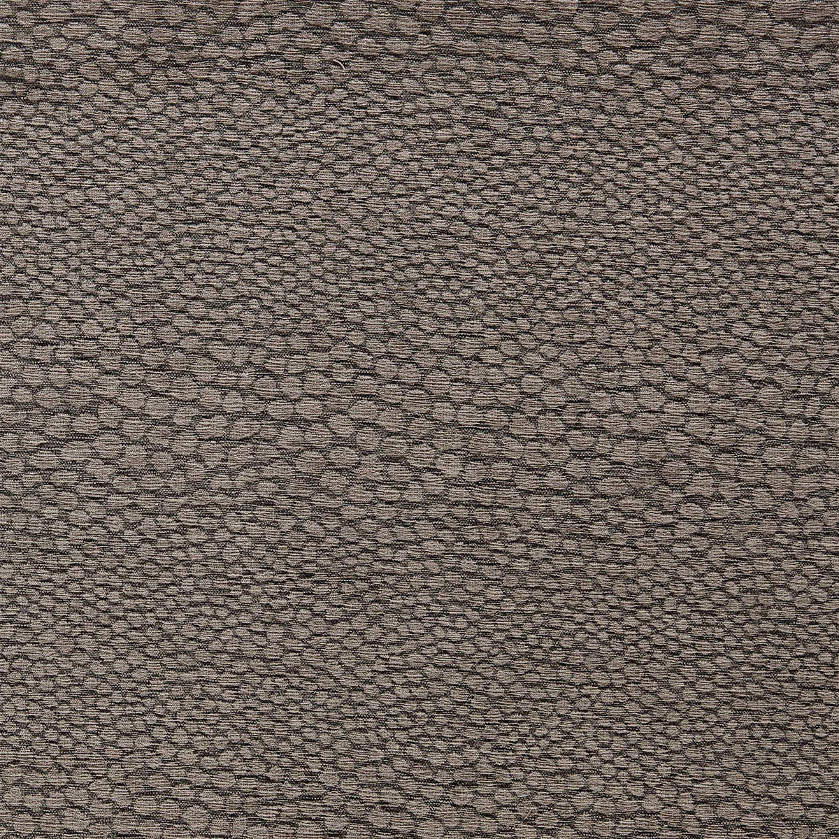 Castus Fabric - Clarke & Clarke