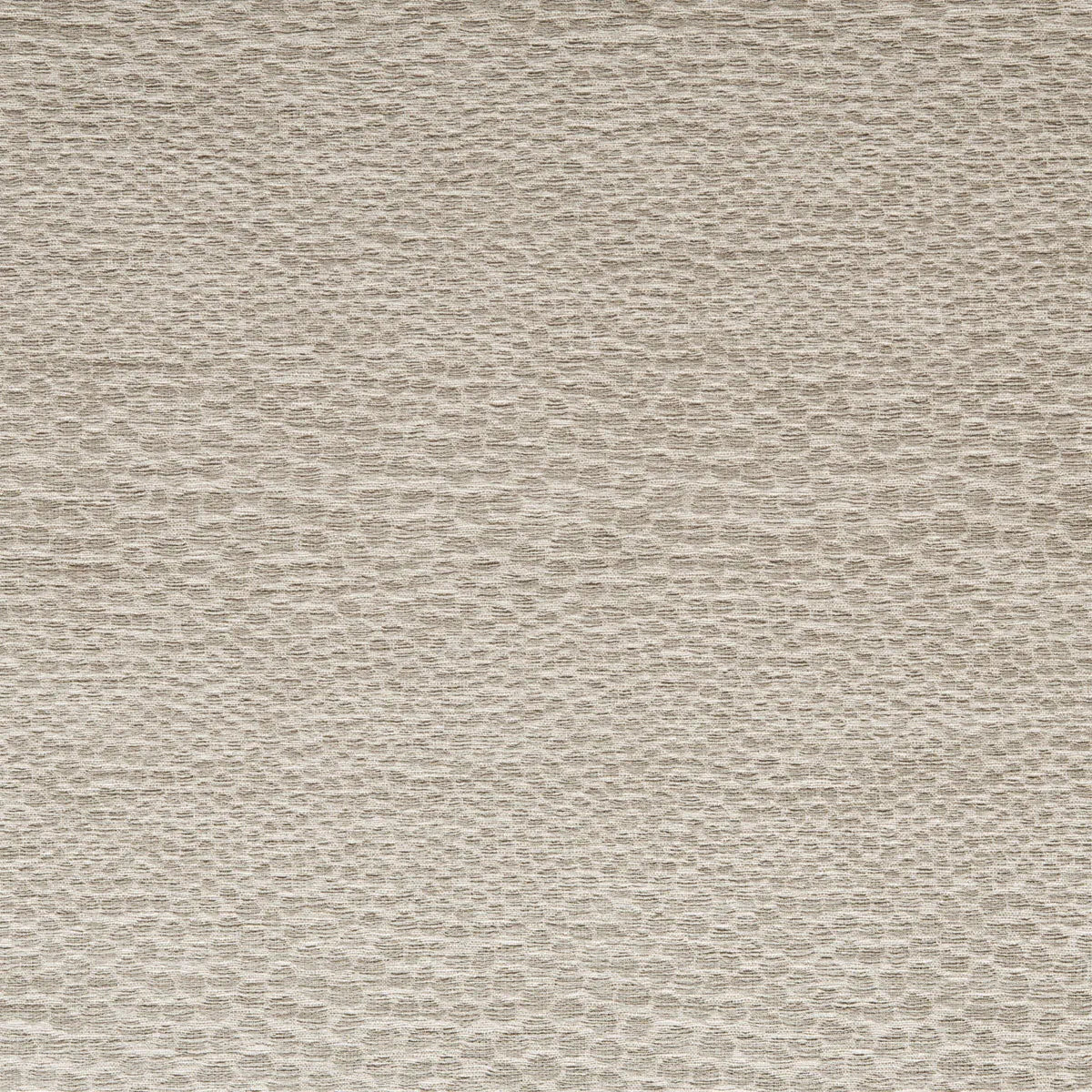 Castus Fabric - Clarke & Clarke