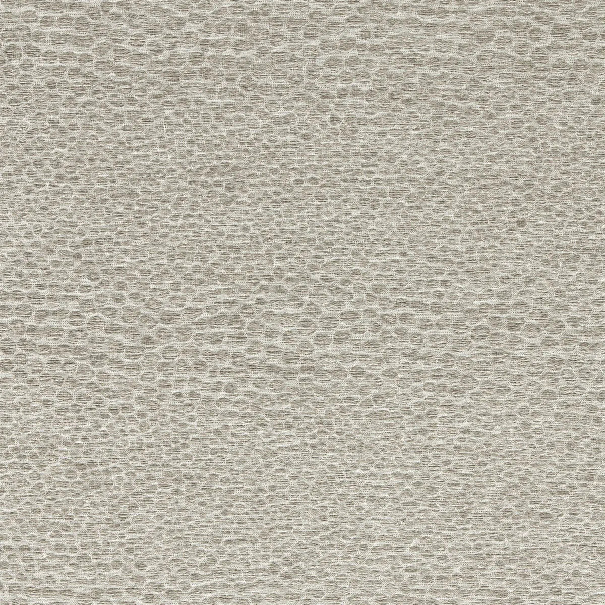 Castus Fabric - Clarke & Clarke