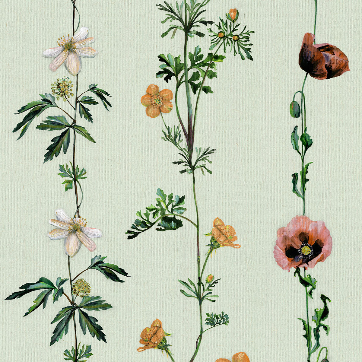 Climbing Flowers Wallpaper - Coordonne
