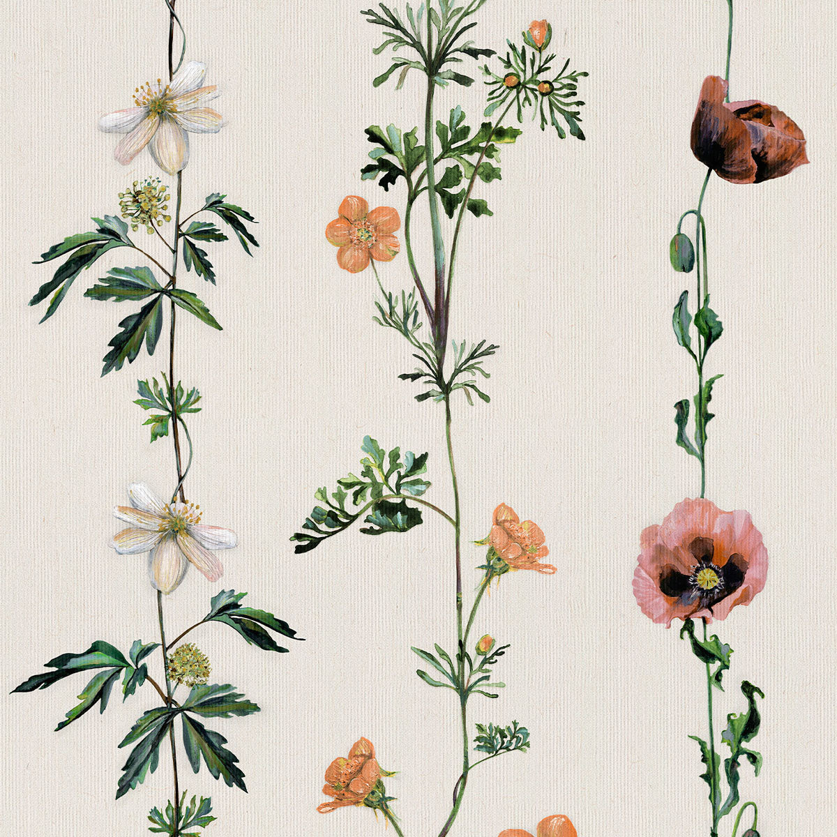 Climbing Flowers Wallpaper - Coordonne