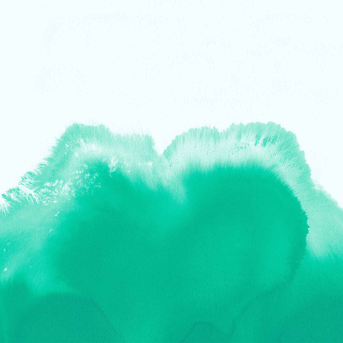 Coral Reefs Mural Wallpaper - Coordonne