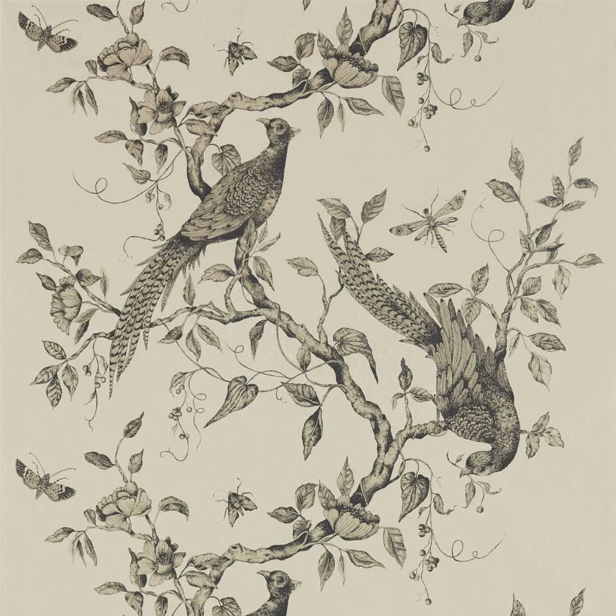 Darnley Wallpaper - Zoffany