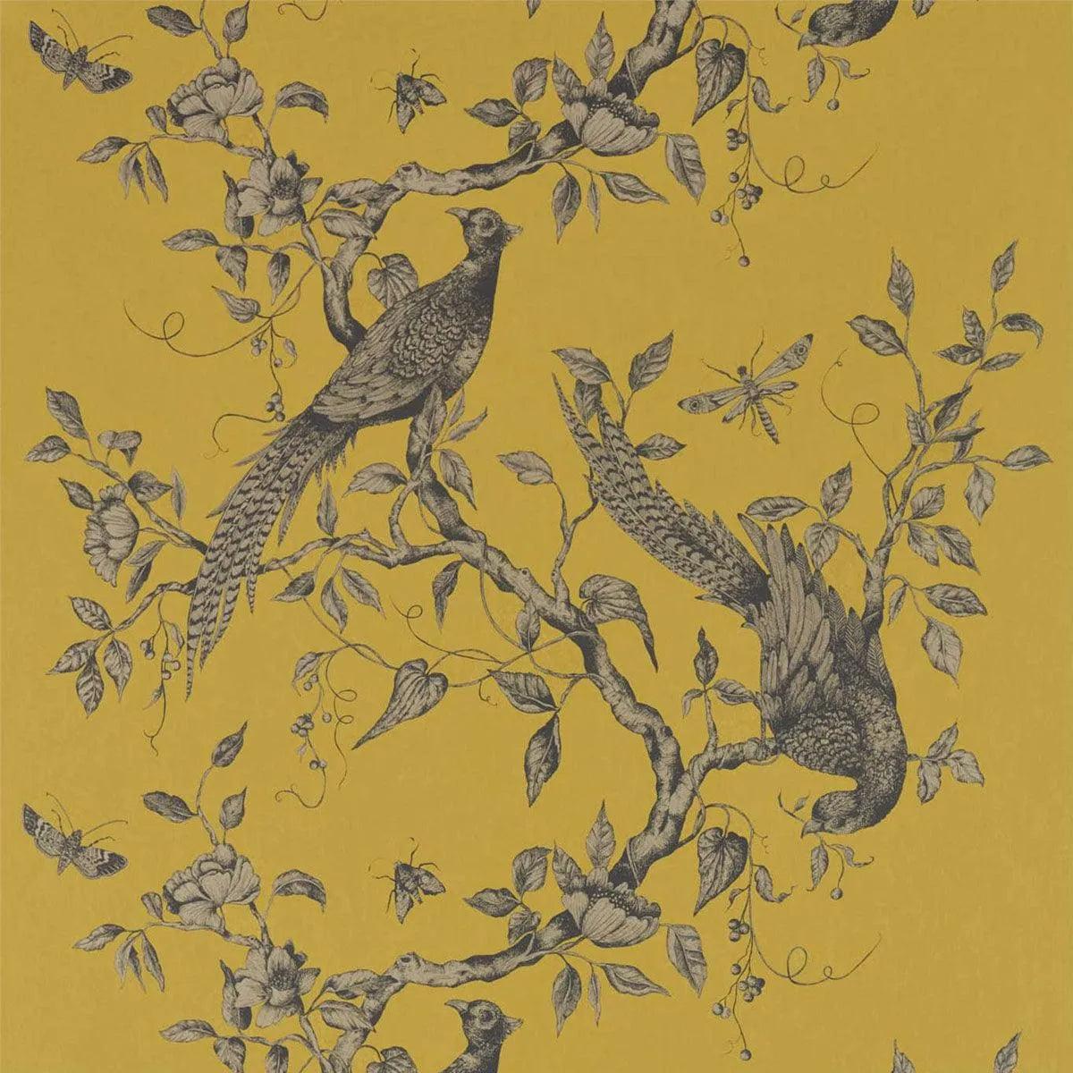 Darnley Wallpaper - Zoffany
