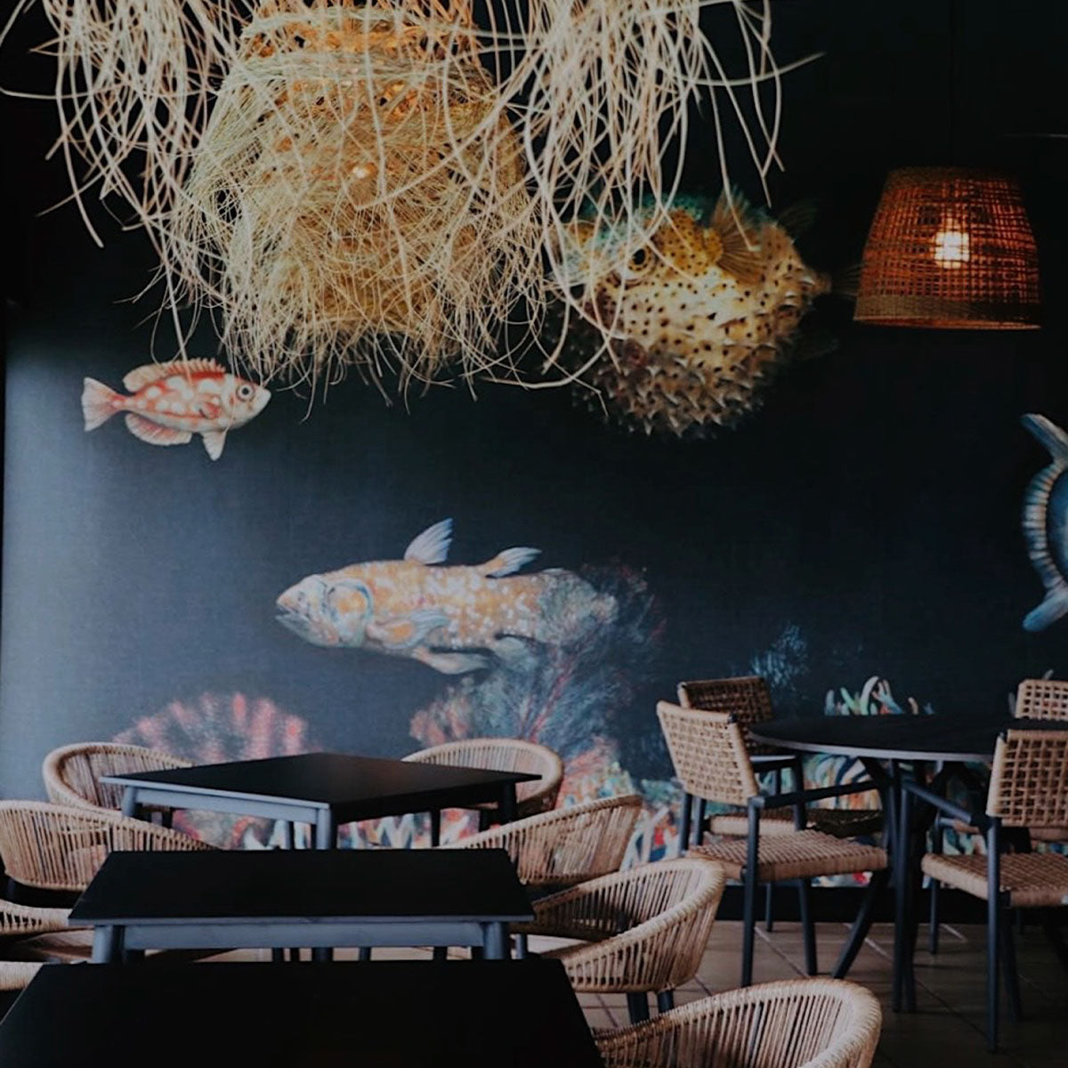 Deep Ocean Mural Wallpaper - Coordonne