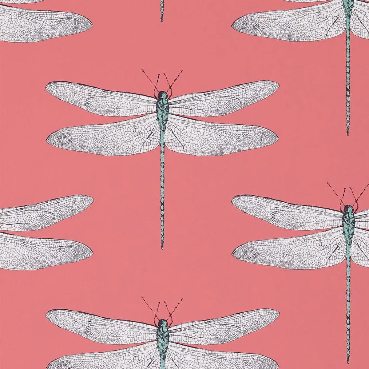 Demoiselle Wallpaper - Harlequin