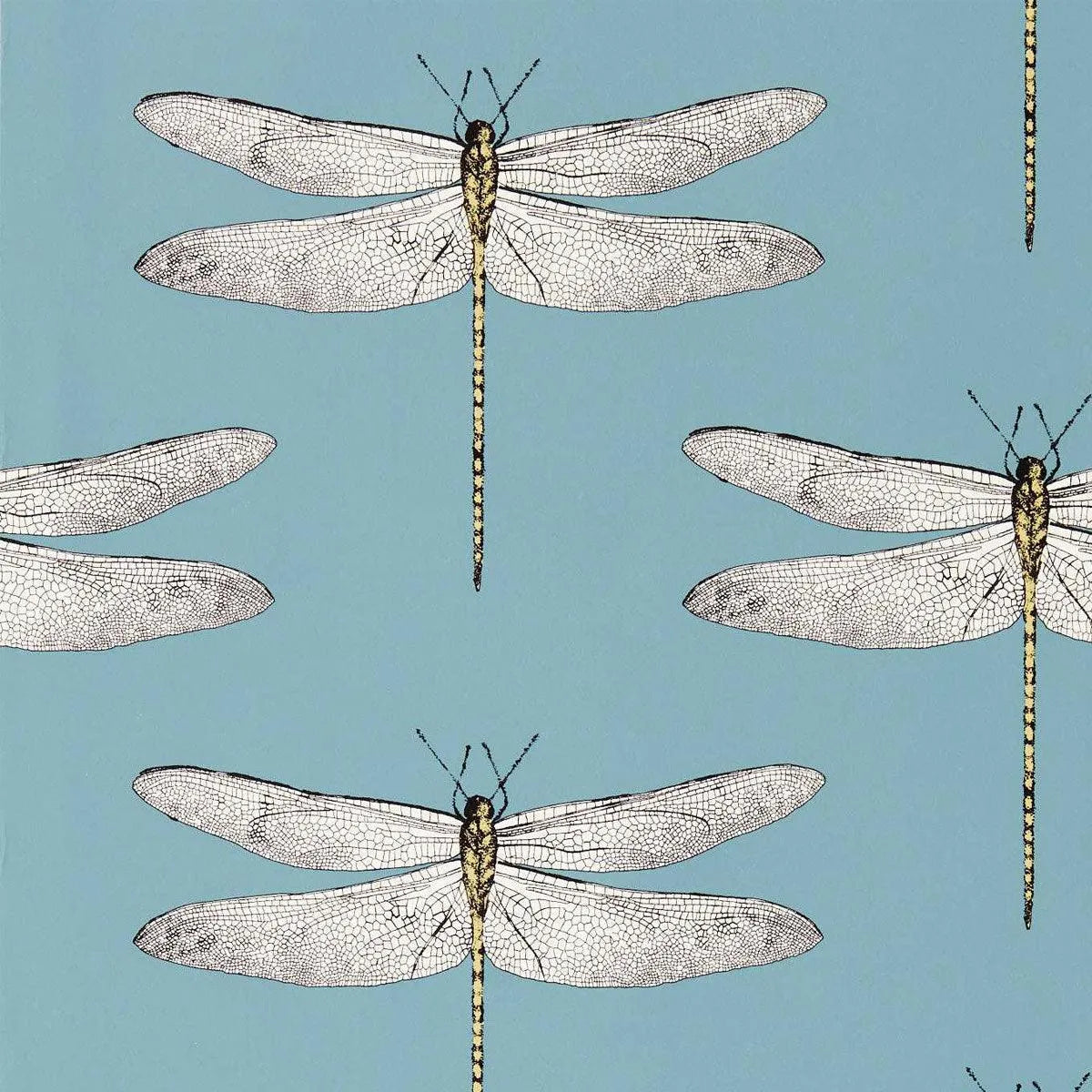 Demoiselle Wallpaper - Harlequin